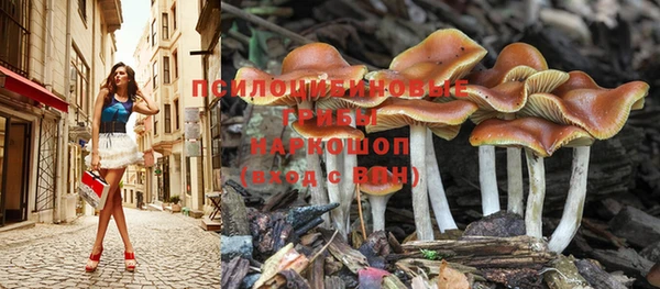 MDMA Premium VHQ Аркадак