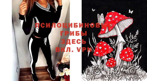бошки Армянск