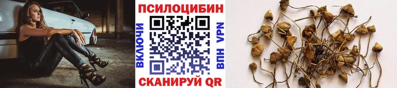 Галлюциногенные грибы мицелий  наркота  omg вход  Обнинск 