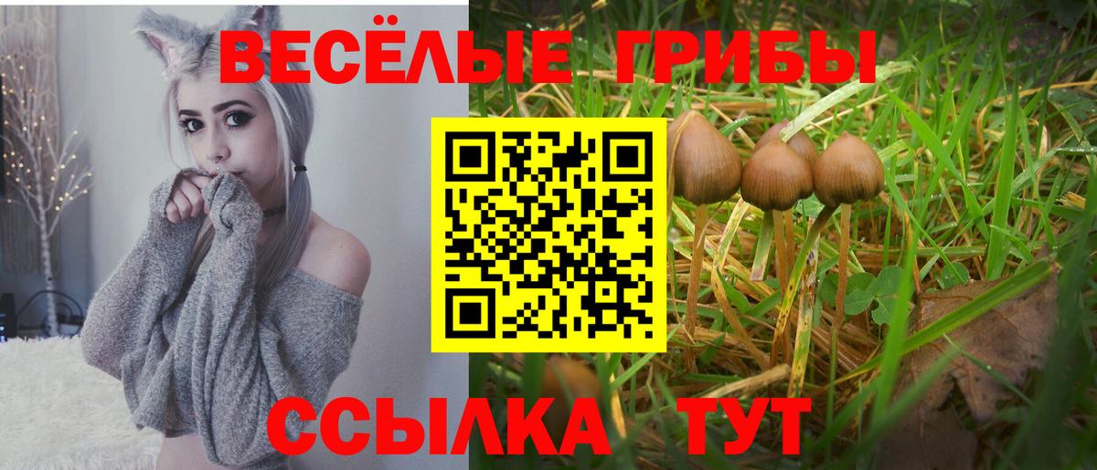 Псилоцибиновые грибы Magic Shrooms Обнинск
